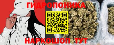 круглые Новозыбков