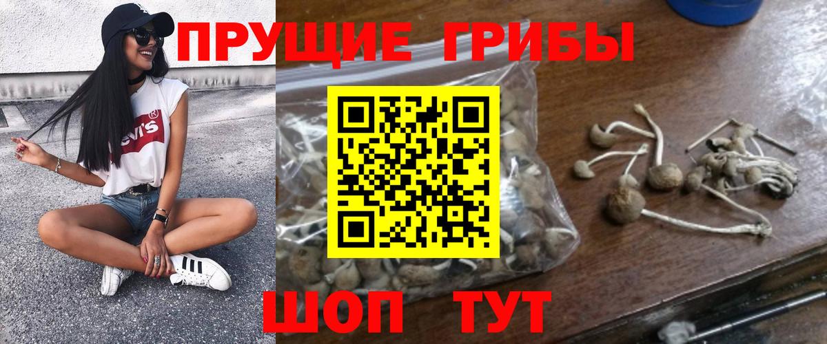 Псилоцибиновые грибы мицелий  Галлюциногенные грибы GOLDEN TEACHER  Тверь  Вход с VPN 