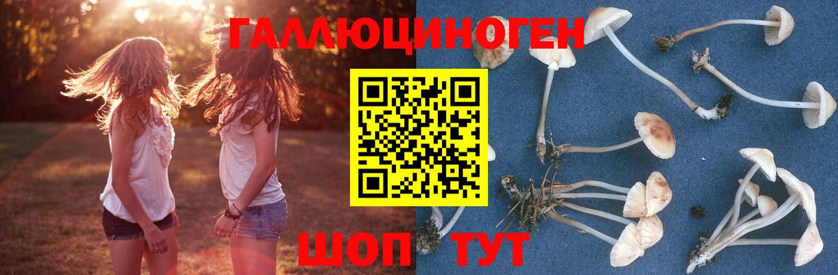 Псилоцибиновые грибы мухоморы Тверь